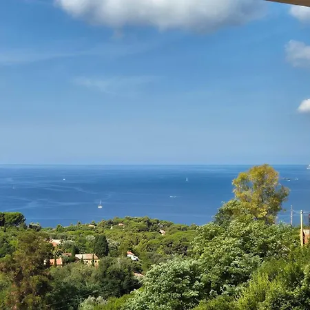 Casa Vaina